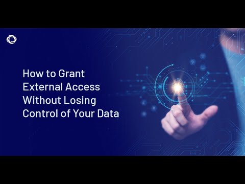 How to Grant External Access Without Losing Control of Your Data