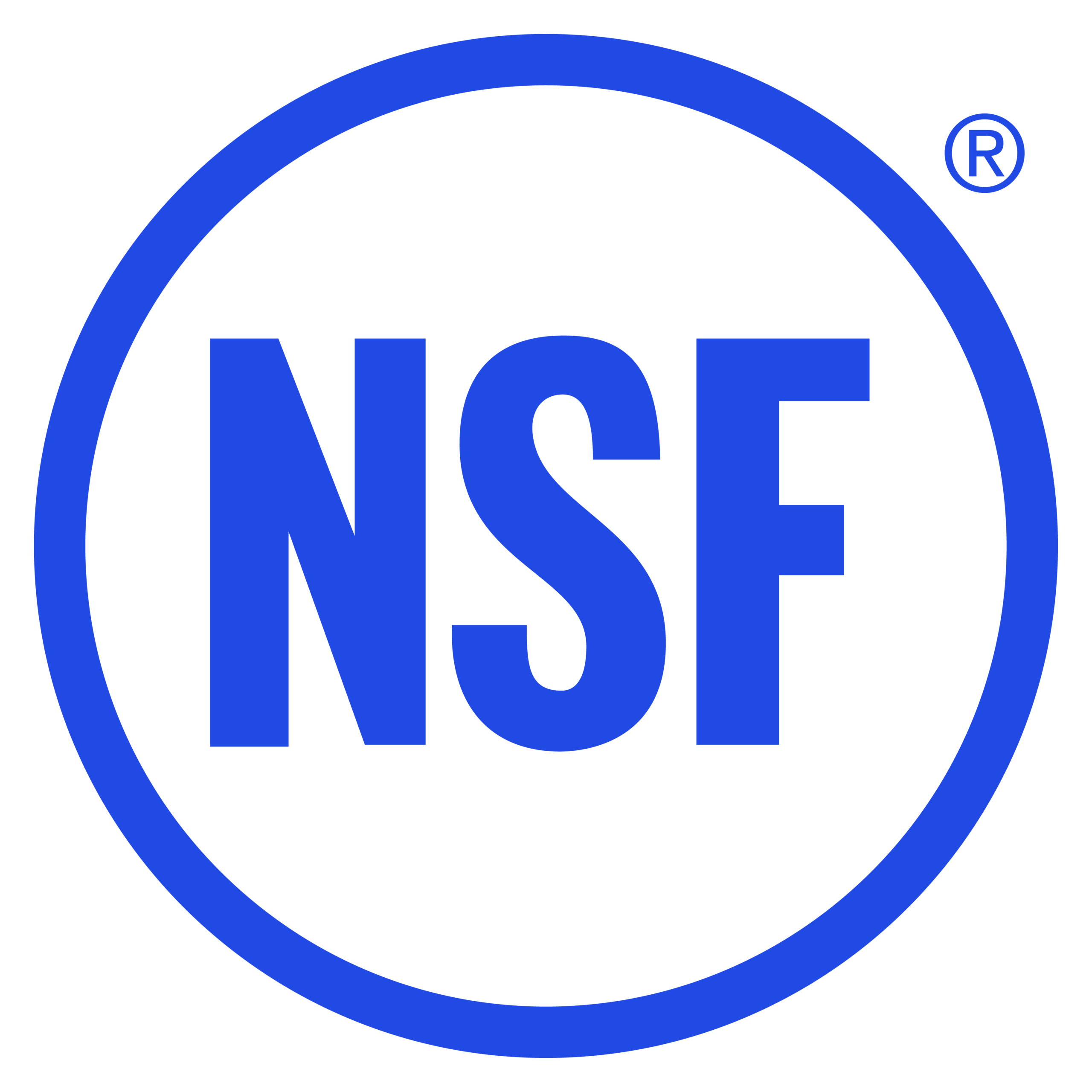 Small NSF corporate logo in blue letters against a blank background.