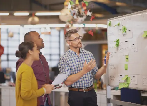 website-certification-assistant-management